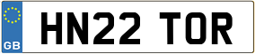 Truck License Plate